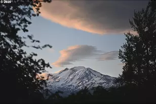 230 Jennings Rd, Trout Lake, WA 98650 - Photo 42