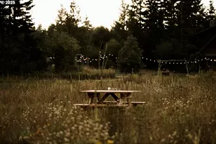 230 Jennings Rd, Trout Lake, WA 98650 - Photo 46