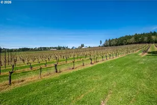 25357 High Pass Rd, Junction City, OR 97448 - Photo 40