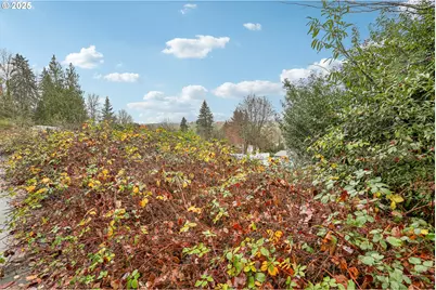 Nw Wapato Ave, Portland, OR 97231 - Photo 4