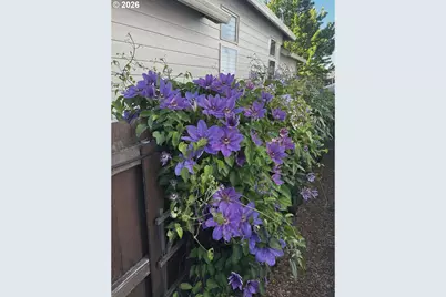 10907 NE 88th St, Vancouver, WA 98662 - Photo 30