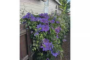 10907 NE 88th St, Vancouver, WA 98662 - Photo 28
