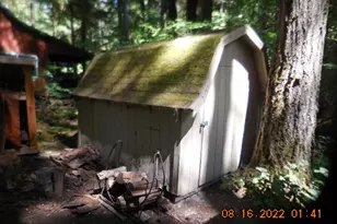 Cabin 188 Northwoods, Cougar, WA 98616 - Photo 20