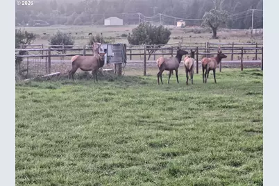 95452 N Bank Rogue River Rd, Gold Beach, OR 97444 - Photo 10
