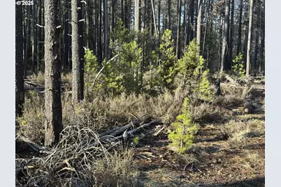 Artesian Dr #L-7, Chiloquin, OR 97624 - Photo 16