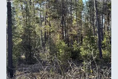 Artesian Dr #L-7, Chiloquin, OR 97624 - Photo 2