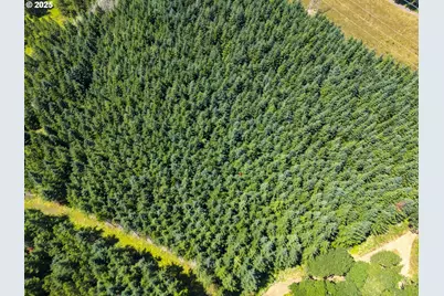 S Cedar Mill Rd, Lyons, OR 97358 - Photo 18