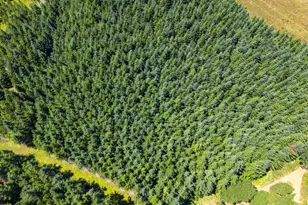 S Cedar Mill Rd, Lyons, OR 97358 - Photo 18