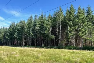 S Cedar Mill Rd, Lyons, OR 97358 - Photo 26