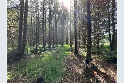 S Cedar Mill Rd, Lyons, OR 97358 - Photo 30