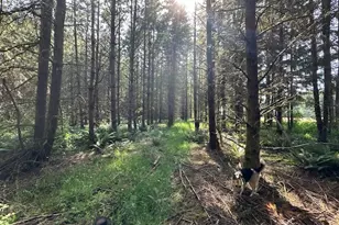 S Cedar Mill Rd, Lyons, OR 97358 - Photo 30