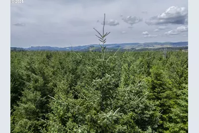 S Cedar Mill Rd, Lyons, OR 97358 - Photo 12