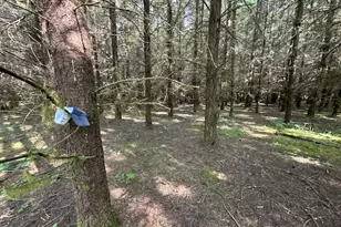 S Cedar Mill Rd, Lyons, OR 97358 - Photo 6