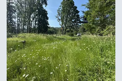 S Cedar Mill Rd, Lyons, OR 97358 - Photo 4