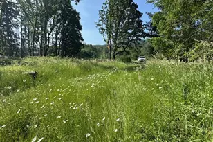 S Cedar Mill Rd, Lyons, OR 97358 - Photo 4