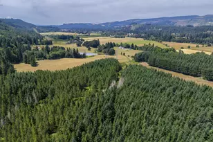 S Cedar Mill Rd, Lyons, OR 97358 - Photo 22