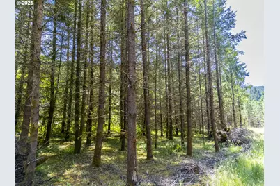 S Cedar Mill Rd, Lyons, OR 97358 - Photo 10