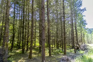 S Cedar Mill Rd, Lyons, OR 97358 - Photo 10