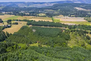 S Cedar Mill Rd, Lyons, OR 97358 - Photo 24