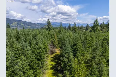 S Cedar Mill Rd, Lyons, OR 97358 - Photo 2
