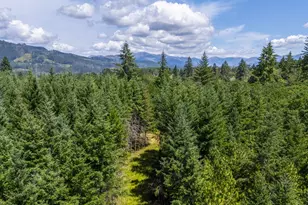 S Cedar Mill Rd, Lyons, OR 97358 - Photo 2