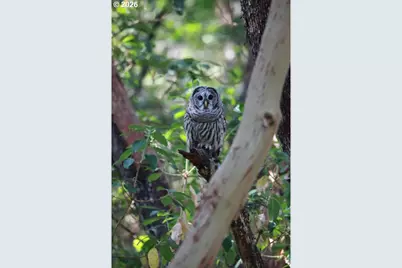 737 Pinecrest Dr, Grants Pass, OR 97526 - Photo 34