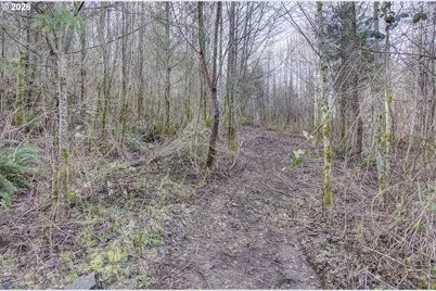 0 Remington Dr, Kelso, WA 98626 - Photo 8