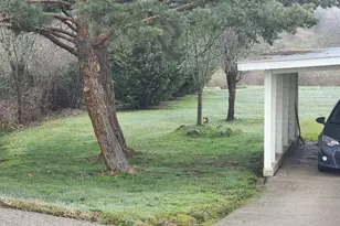 795 E St, Riddle, OR 97469 - Photo 2