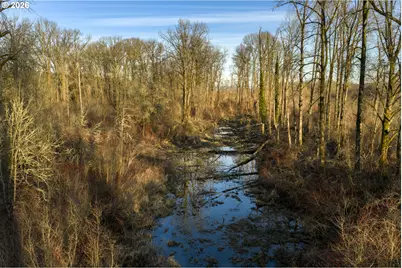 Gull Island, Clatskanie, OR 97016 - Photo 16