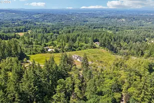24020 NE Alvas Rd, Battle Ground, WA 98604 - Photo 46
