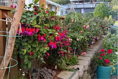 1213 Acacia Ave, Garibaldi, OR 97118 - Photo 48