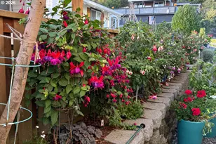 1213 Acacia Ave, Garibaldi, OR 97118 - Photo 48