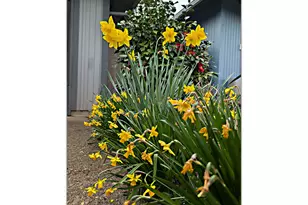 15597 SW Summerfield Ln, Tigard, OR 97224 - Photo 6