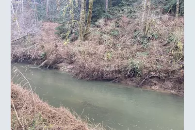 94296 Horton Rd, Blachly, OR 97412 - Photo 2