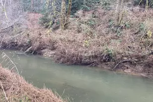 94296 Horton Rd, Blachly, OR 97412 - Photo 2