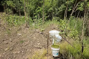 58994 Upper Imnaha Rd, Imnaha, OR 97842 - Photo 28