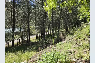 58994 Upper Imnaha Rd, Imnaha, OR 97842 - Photo 26