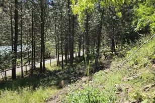 58994 Upper Imnaha Rd, Imnaha, OR 97842 - Photo 26