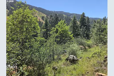58994 Upper Imnaha Rd, Imnaha, OR 97842 - Photo 32