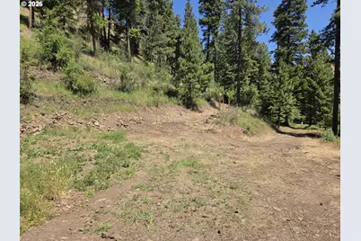 58994 Upper Imnaha Rd, Imnaha, OR 97842 - Photo 30