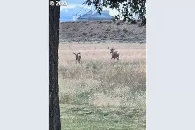 1201 N Highway 26, Madras, OR 97741 - Photo 8