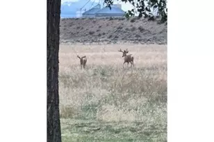 1201 N Hwy 26, Madras, OR 97741 - Photo 8