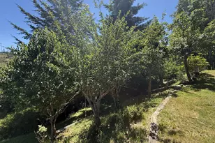 17053 Eastwood Ln, Brookings, OR 97415 - Photo 36