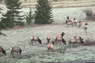 75455 Meserve Rd, Rainier, OR 97048 - Photo 38