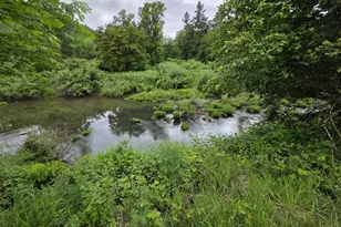 4340 State Hwy 38, Drain, OR 97435 - Photo 20