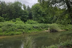 4340 State Hwy 38, Drain, OR 97435 - Photo 20