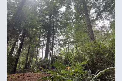Collard Loop, Florence, OR 97439 - Photo 18
