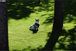 124316 Teatable Ct, Crescent Lake, OR 97733 - Photo 32