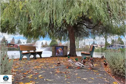 1800 Lakewood Ct, Eugene, OR 97402 - Photo 34