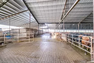 35725 Engle Rd, Albany, OR 97322 - Photo 8